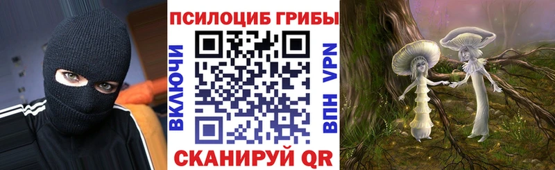 Псилоцибиновые грибы Psilocybine cubensis  Купить  Великий Устюг 